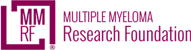 Partner logo 9